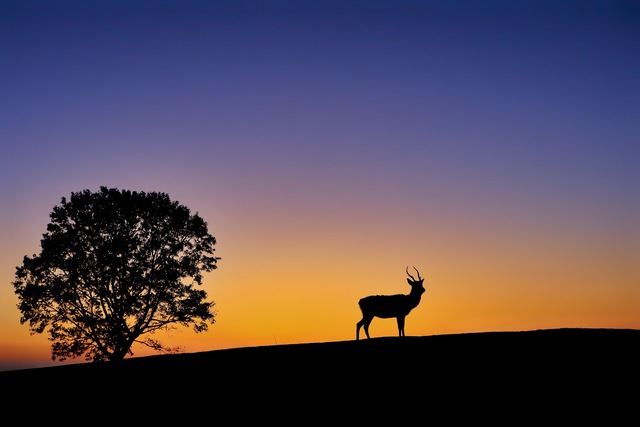 7197822 erbvzsun full 22154b61 d49d 4575 acab 0ffcd3c6de2e 